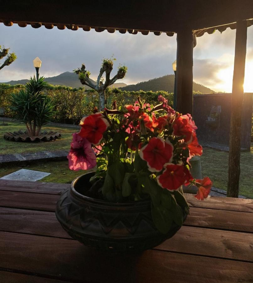 فيلا Quinta Do Sossego-Giestas هيبيرا غْريندي المظهر الخارجي الصورة